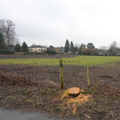 Die Ponywiese in Refrath an der Alten Marktstraße.