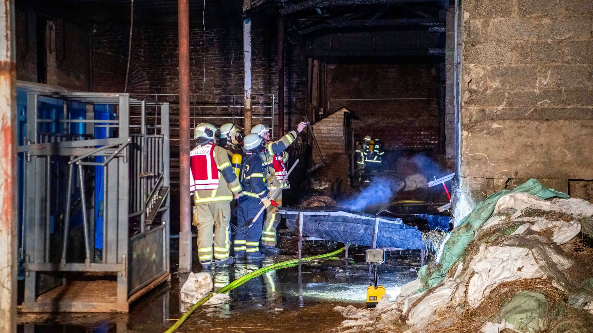 Feuerwehrleute stehen im Stall und begutachten Wände.
