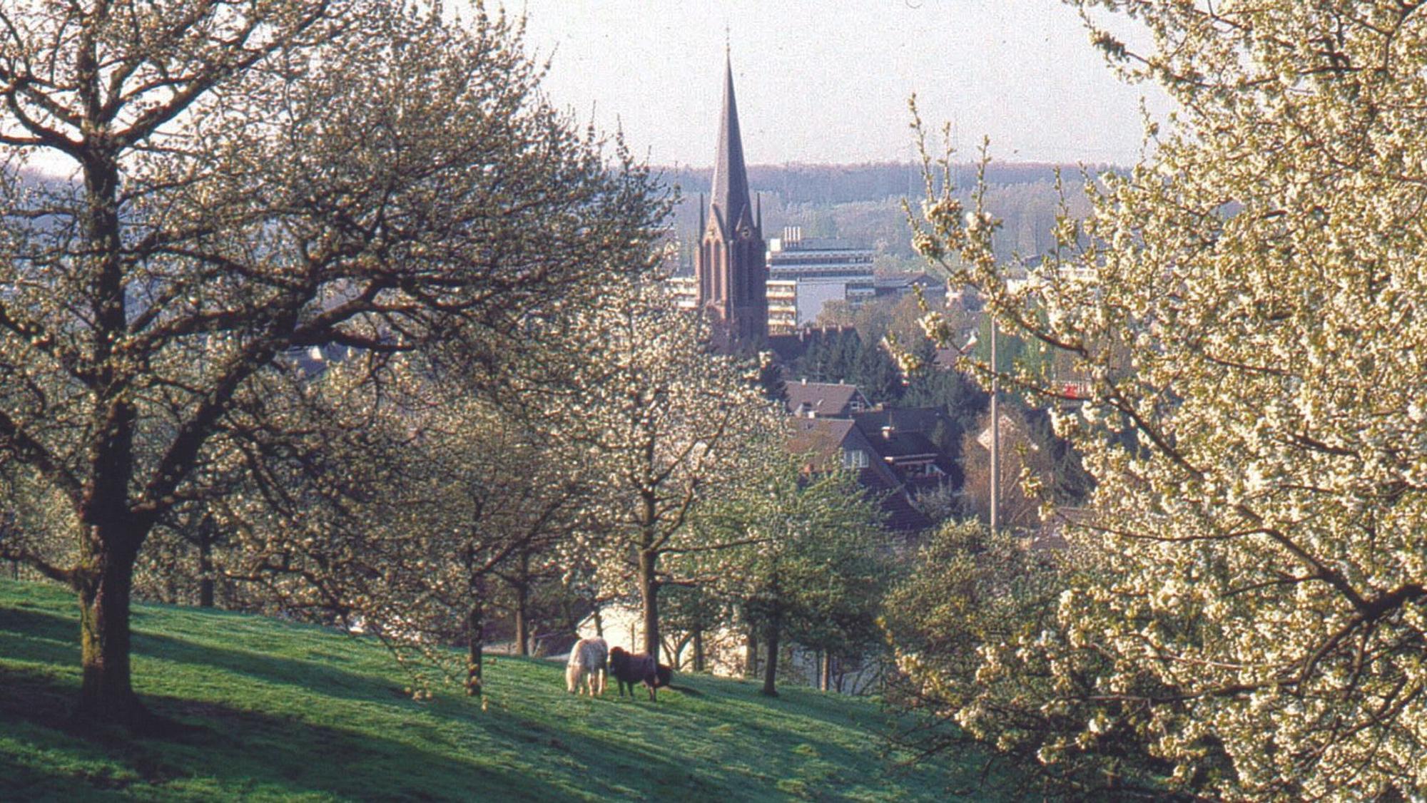 Obstweg in Leichlingen mit Blick auf Kirchturm.