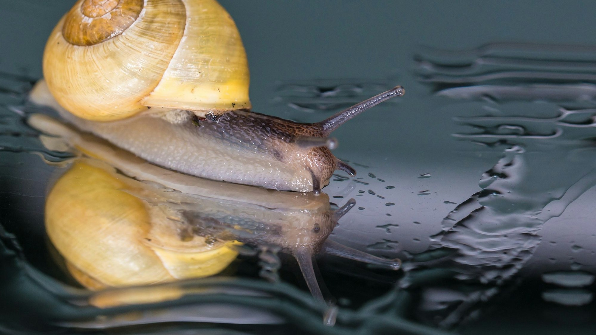Foto des Jahres 2020
Die Siegerbilder
Hier: Anita Holtappels