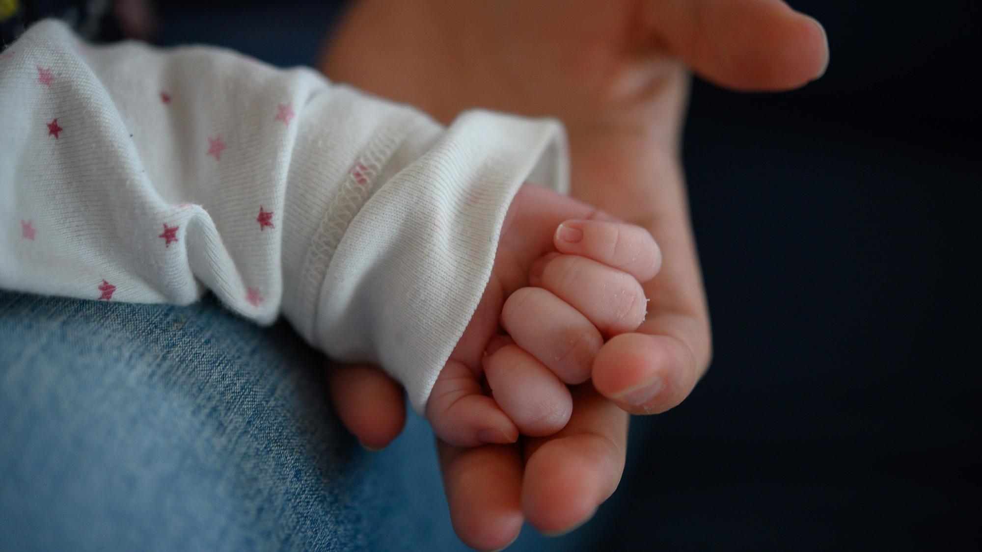 Die Hand eines zwei Wochen altes Neugeborenen liegt in der Hand seiner Mutter.