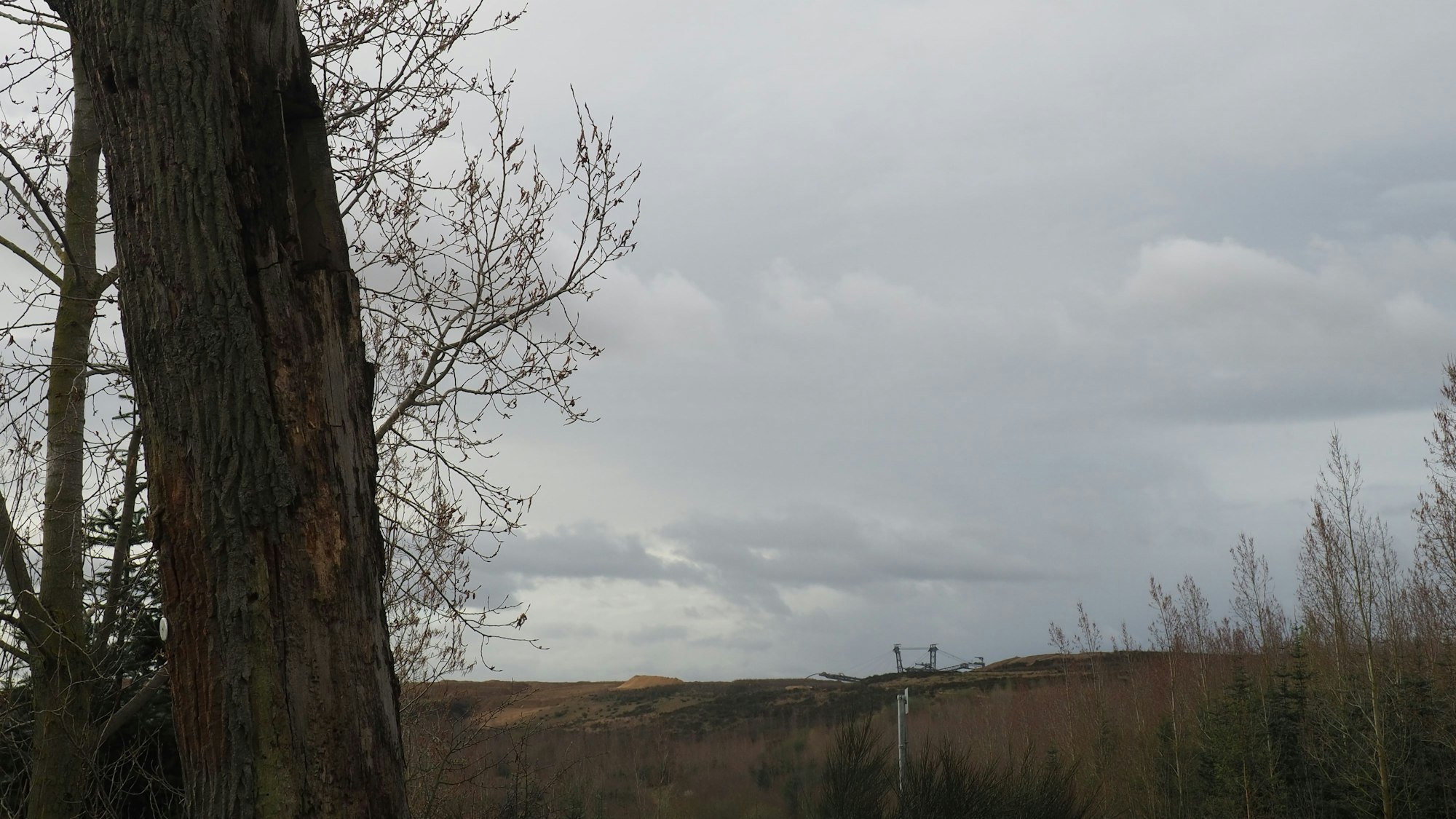 Blick über die Sophienhöhe. Links steht ein toter Baumpfahl im Vordergrund.