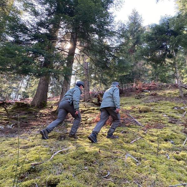 Italienische Polizisten suchen die Schwester von „Problembär“ Bruno. Die Bärin JJ4, auch Gaia genannt, hatte am Wochenende einen Jogger im Trentin getötet.