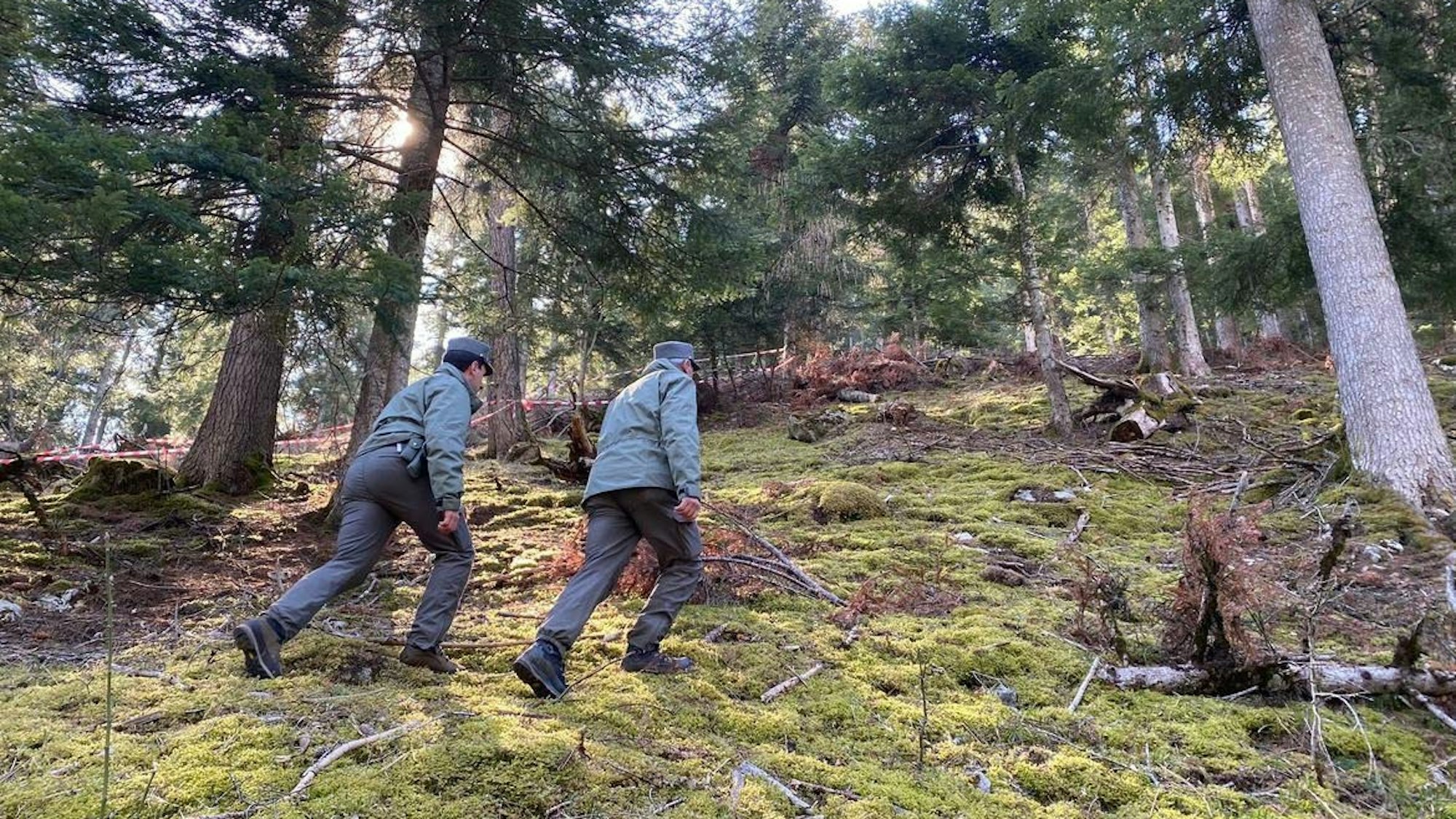 Polizeibeamte gehen durch den Wald vor einem mit Flatterband abgesperrten Bereich.