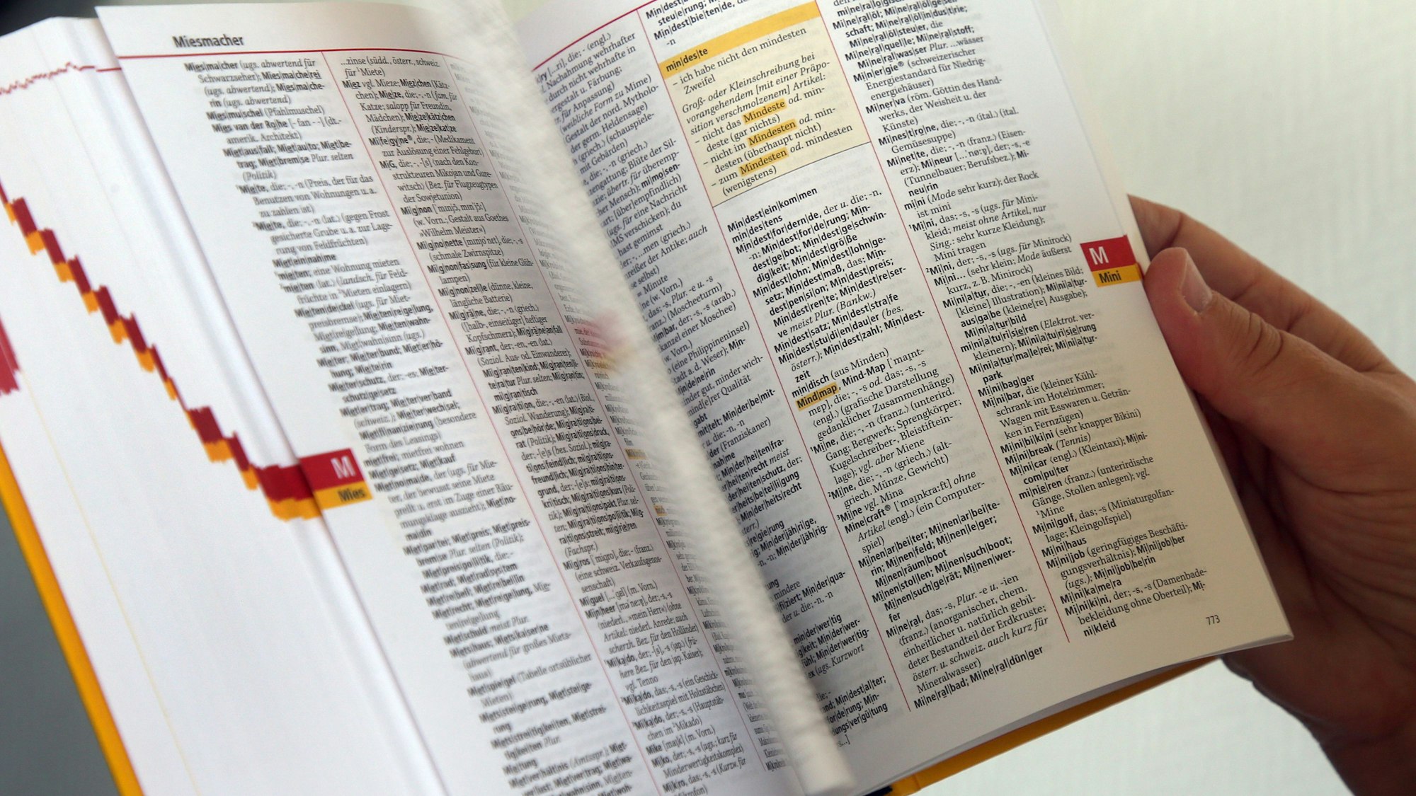 Aufgeschlagener Duden.