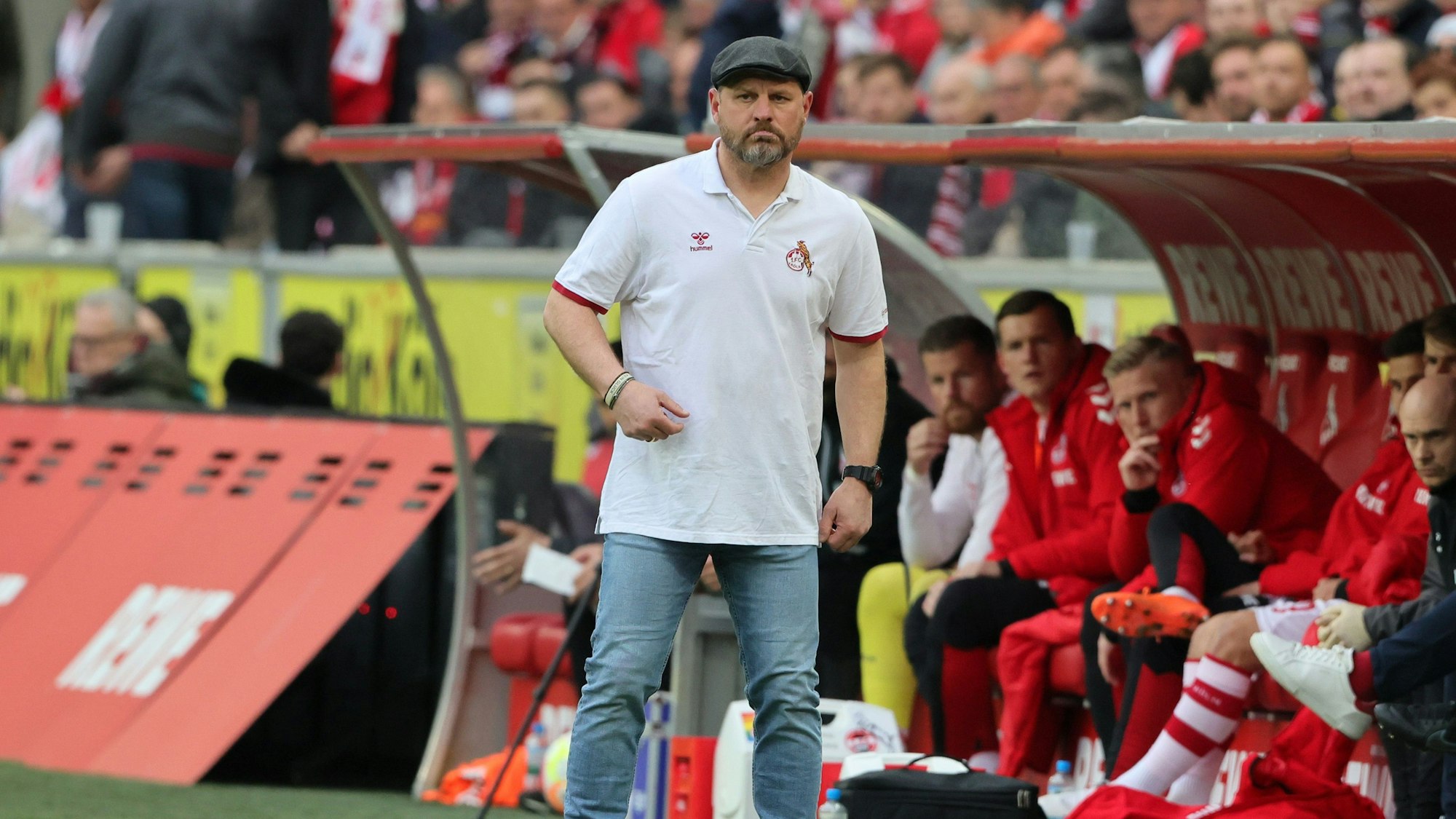 Steffen Baumgart am Spielfeldrand