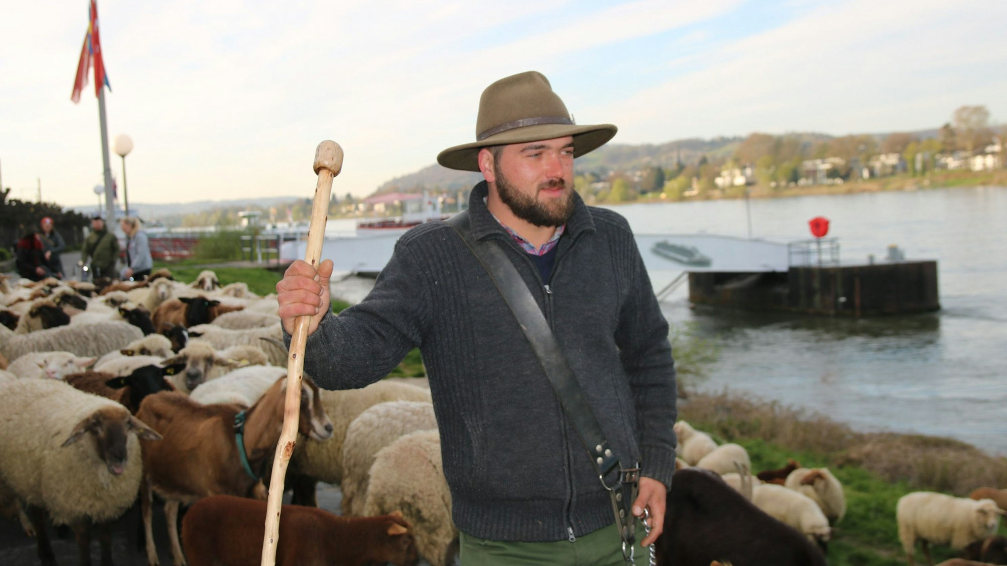 Ein Mann mit Hut und Hirtenstab steht inmitten von Ziegen und Schaffen am Rheinufer in Königswinter.