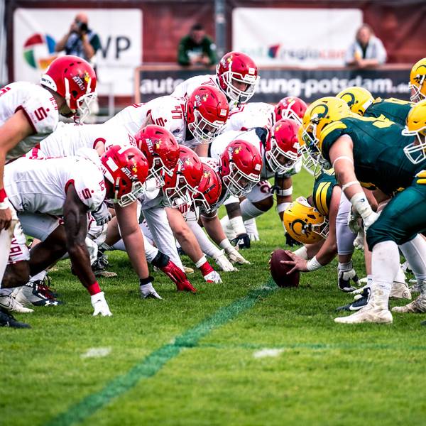 GFL Play Off Halbfinale: Potsdam Royals - Cologne Crocodiles 24.09.2022 Potsdam Royals - Cologne Crocodiles *** GFL Play Off Semifinals Potsdam Royals Cologne Crocodiles 24 09 2022 Potsdam Royals Cologne Crocodiles Copyright: xBEAUTIFULxSPORTS/NicolxMarschallx