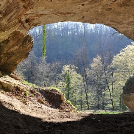 Blick aus einem Höhleneingang mit Blick auf Wald.
