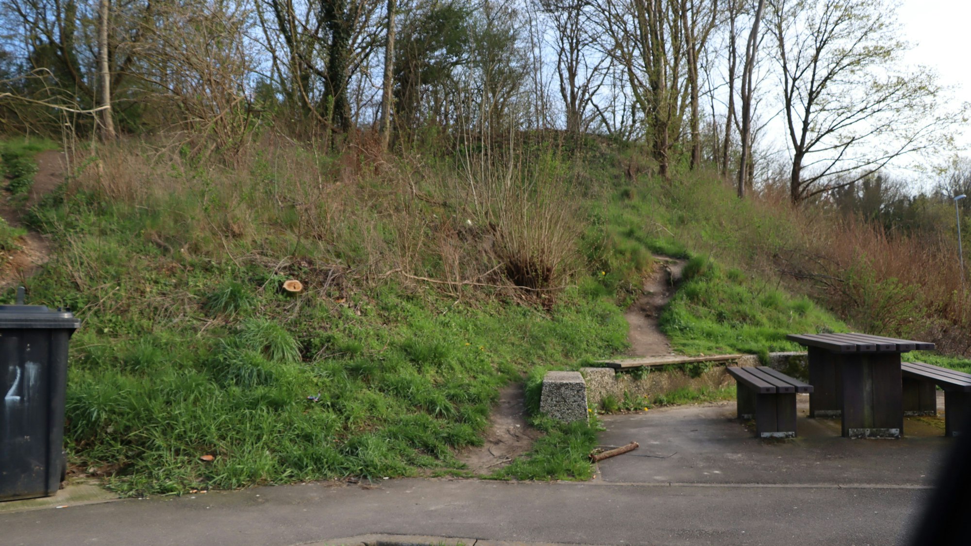 Auf dem Foto ist ein Trampelpfad hinter einer Sitzecke auf dem Rastplatz zu sehen.