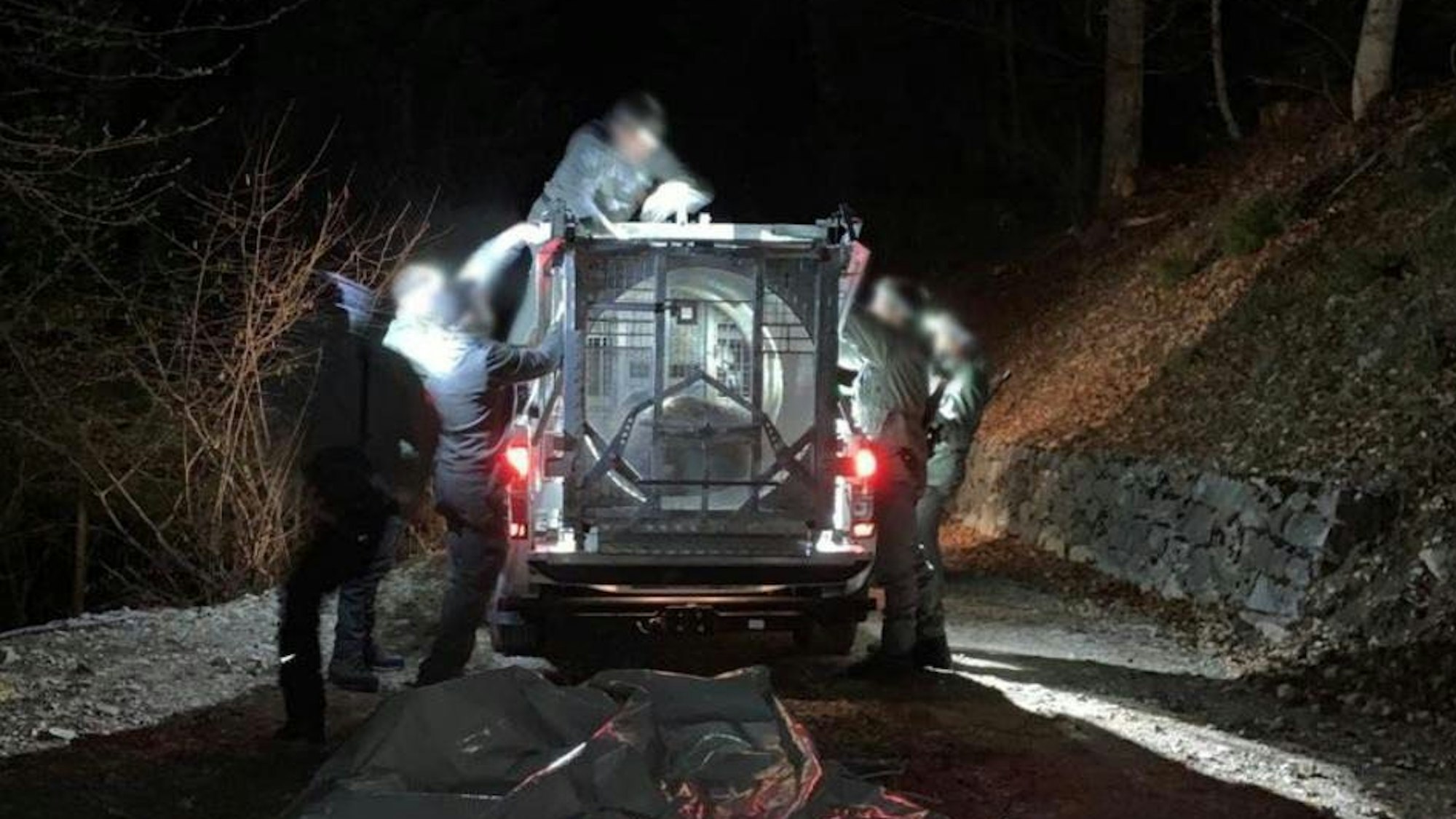 Die Bärin JJ4 wurde in Italien kurz nach dem Tod eines Joggers eingefangen. Die Schwester von „Problembär“ Bruno wird allerdings nicht getötet.