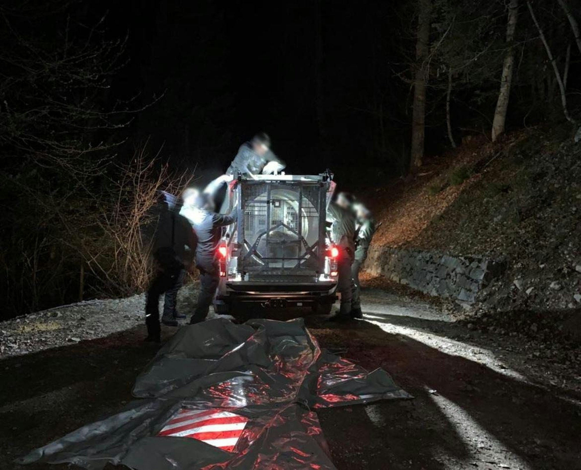 Mitarbeiter des Trentiner Forstkorps bereiten den Transport der Bärin JJ4, die in der Nacht mithilfe einer großen Rohrfalle gefasst wurde, in ein Wildreservat vor.