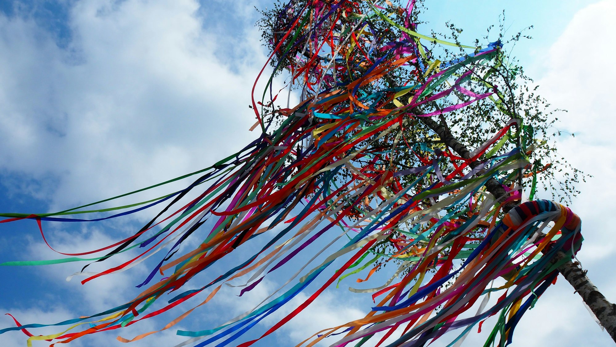 Ein bunt geschmückter Maibaum.