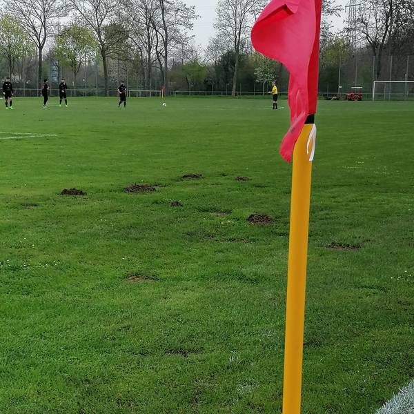 Auf der Sportanlage an der Sinnersdorfer Straße hat es sich ein Maulwurf gemütlich gemacht.