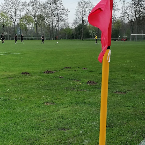 Auf der Sportanlage an der Sinnersdorfer Straße hat es sich ein Maulwurf gemütlich gemacht.