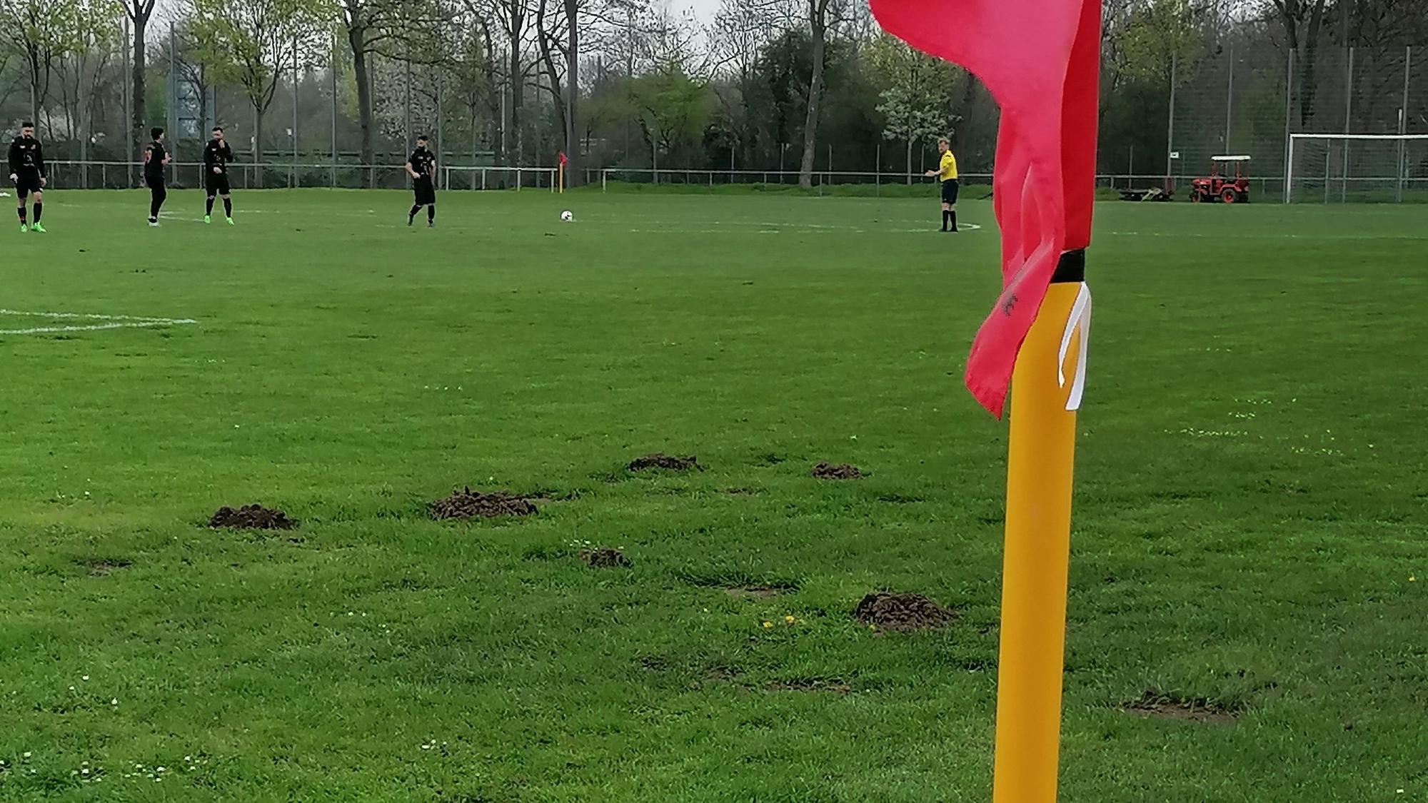 Auf der Sportanlage an der Sinnersdorfer Straße hat es sich ein Maulwurf gemütlich gemacht.