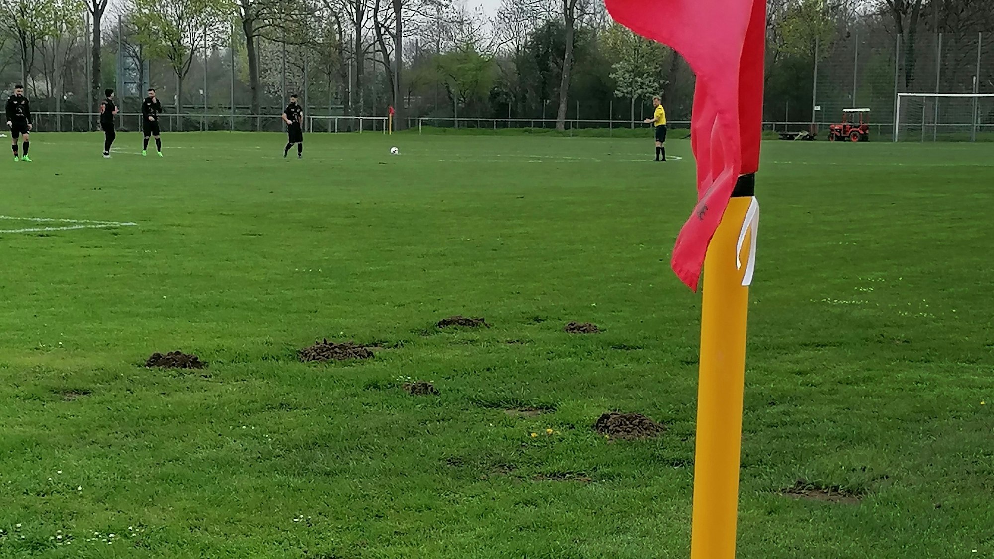 Auf der Sportanlage an der Sinnersdorfer Straße hat es sich ein Maulwurf gemütlich gemacht.