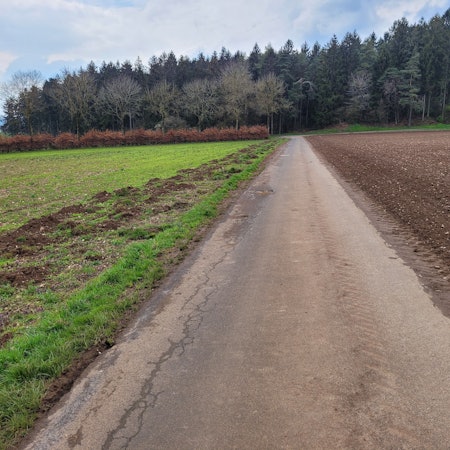 An den Feldern in Kall wurden Grünstreifen entfernt.
