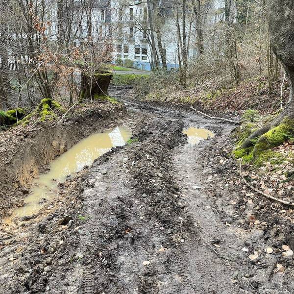 Matsch und Pfützen auf Waldweg an der Klinik Wersbach