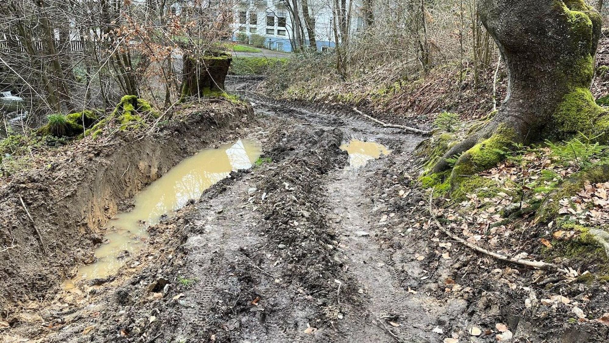 Matsch und Pfützen auf Waldweg an der Klinik Wersbach