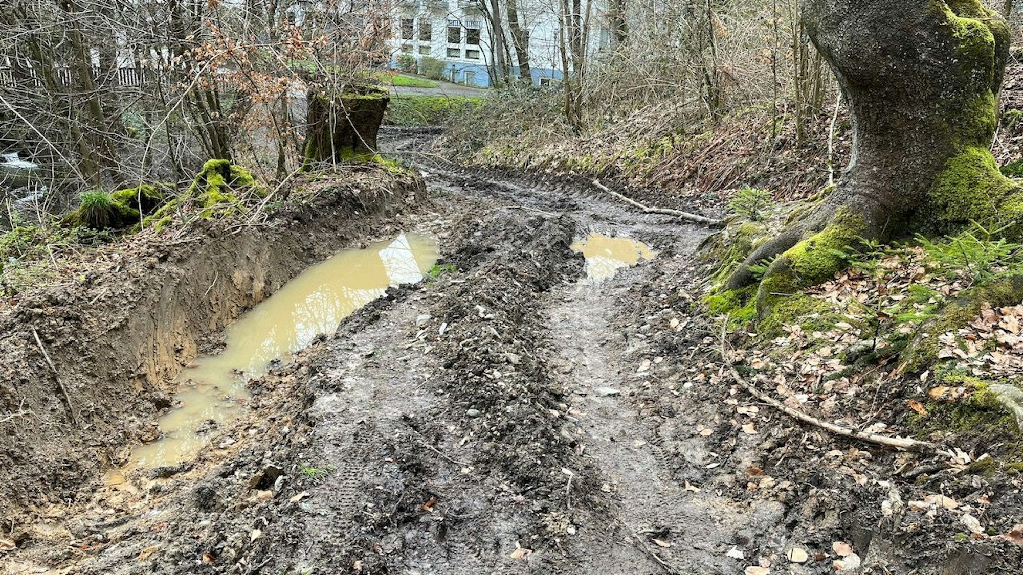 Matsch und Pfützen auf Waldweg an der Klinik Wersbach
