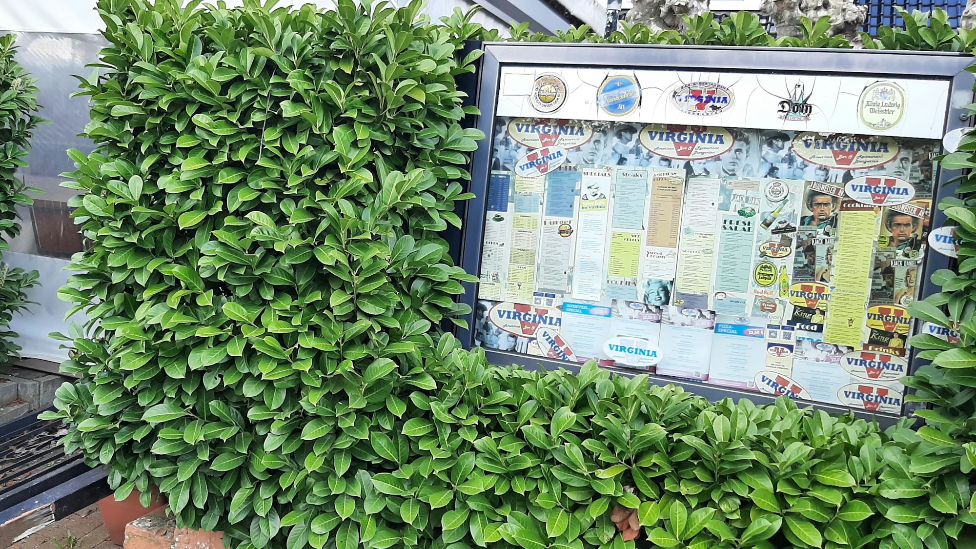 Speisekarte des Virginia American Bar Restaurant Monheim am Rhein umrahmt von Büschen