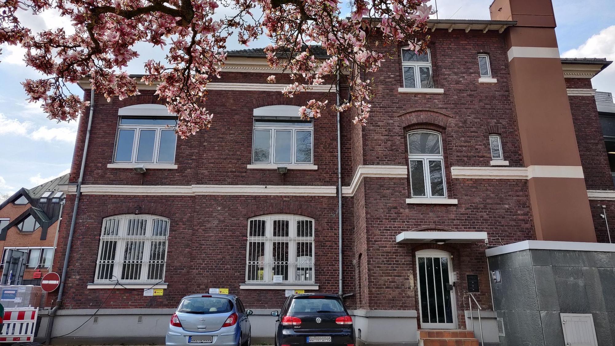 Rückseite des alten Rathauses mit geparkten Autos.