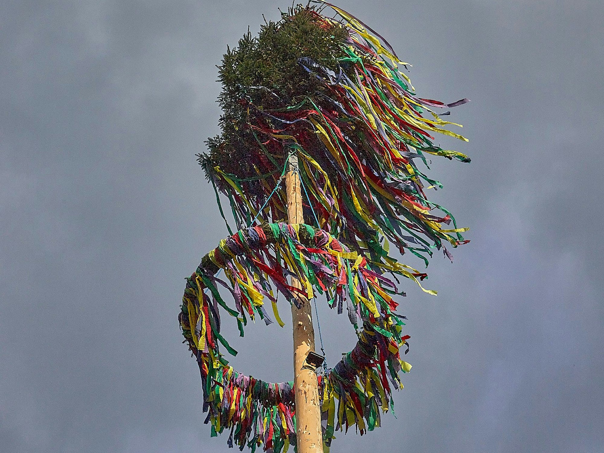 Ein geschmückter Maibaum.
