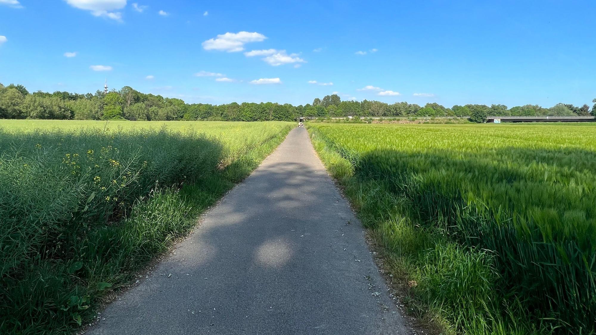 Durch Feldwege führt der Weg von Rheindorf nach Opladen.