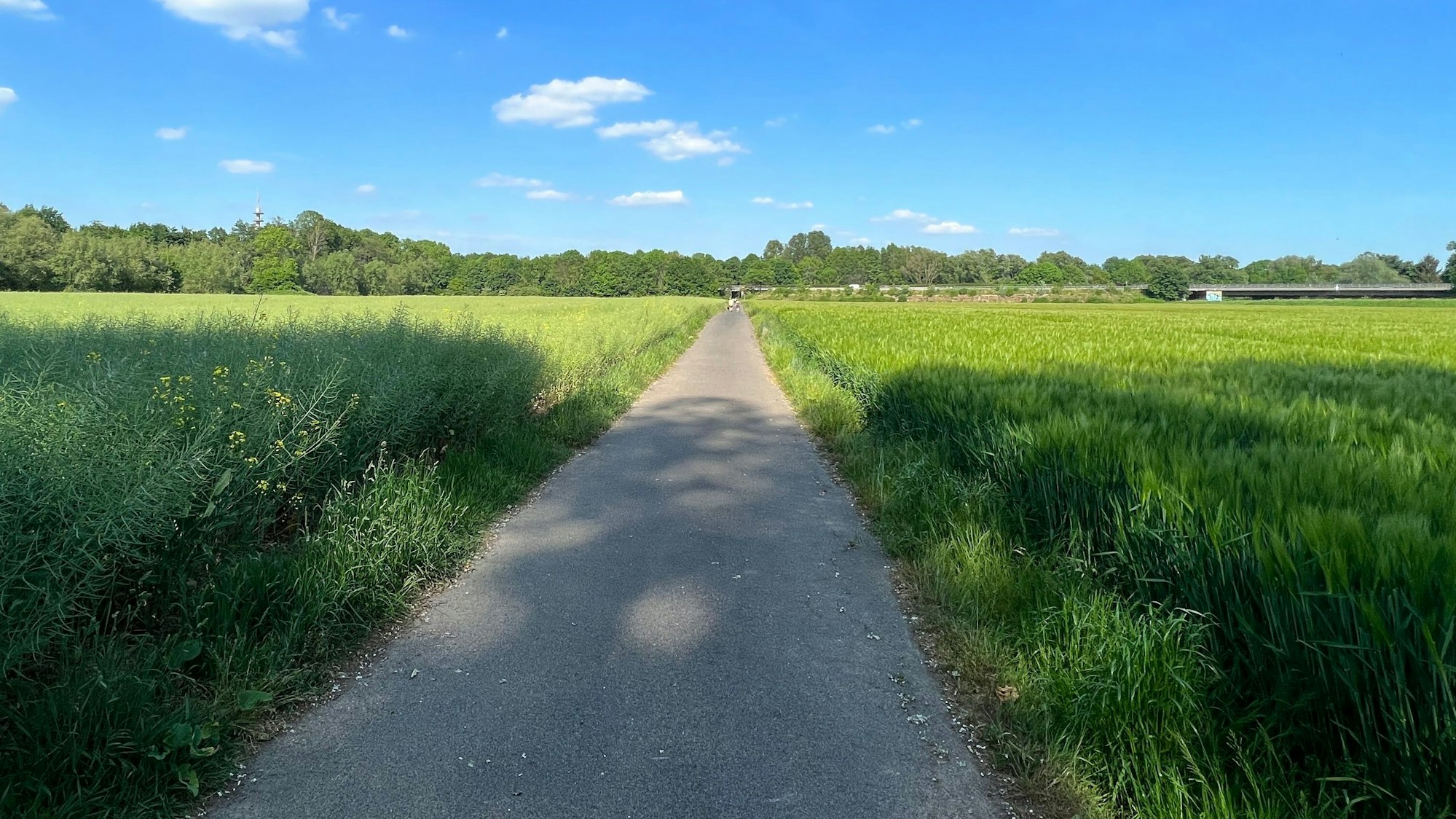 Durch Feldwege führt der Weg von Rheindorf nach Opladen.