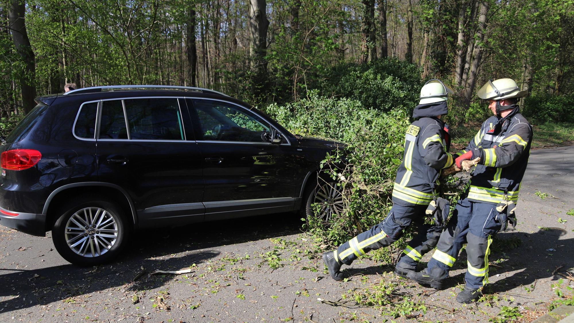 Feuerwehrleute ziehen einen Baum von einem Auto.