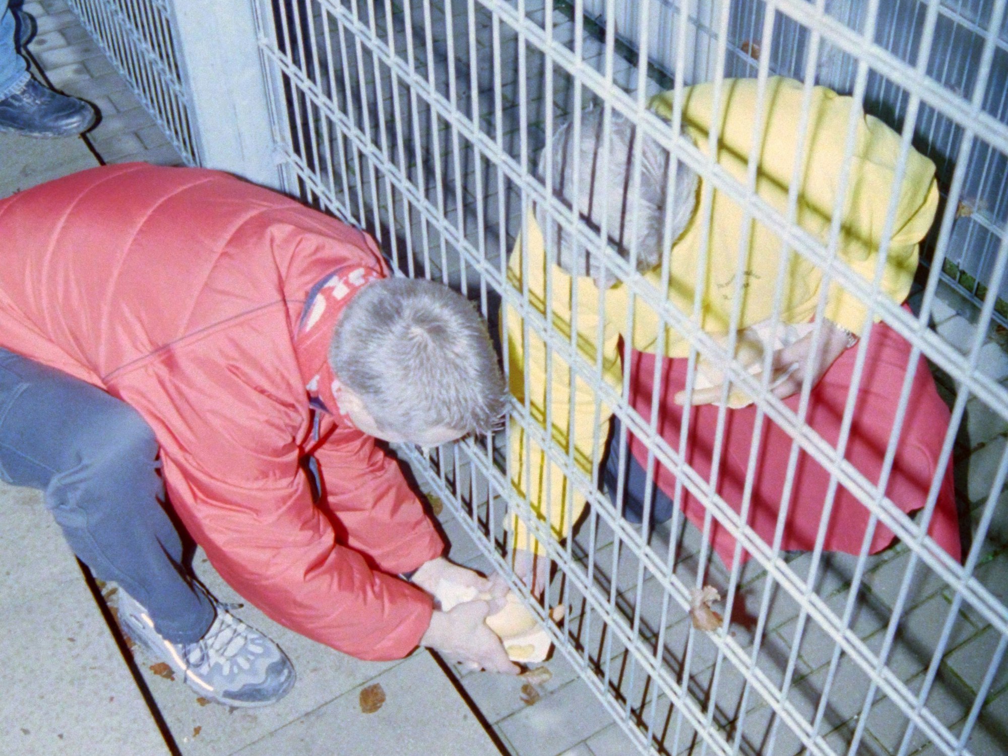 Ein Fußball-Fan nimmt ein Brötchen mit Bratwurst an, dass er vom Verkäufer unter dem Zaun her angereicht bekommt.