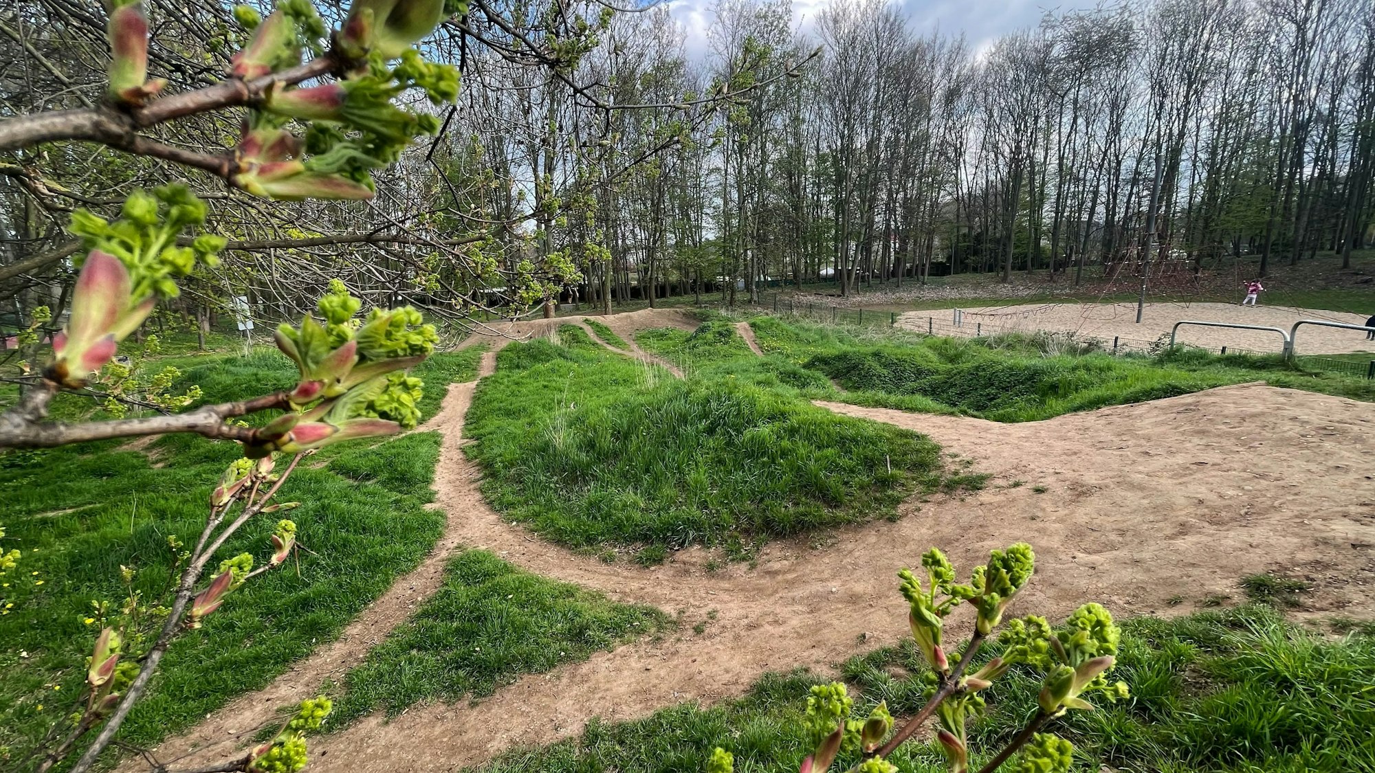 Die Dirtbahn mit Grasflächen und Erdpfaden in der Euskirchener Auelsburg hinter der Marienschule.