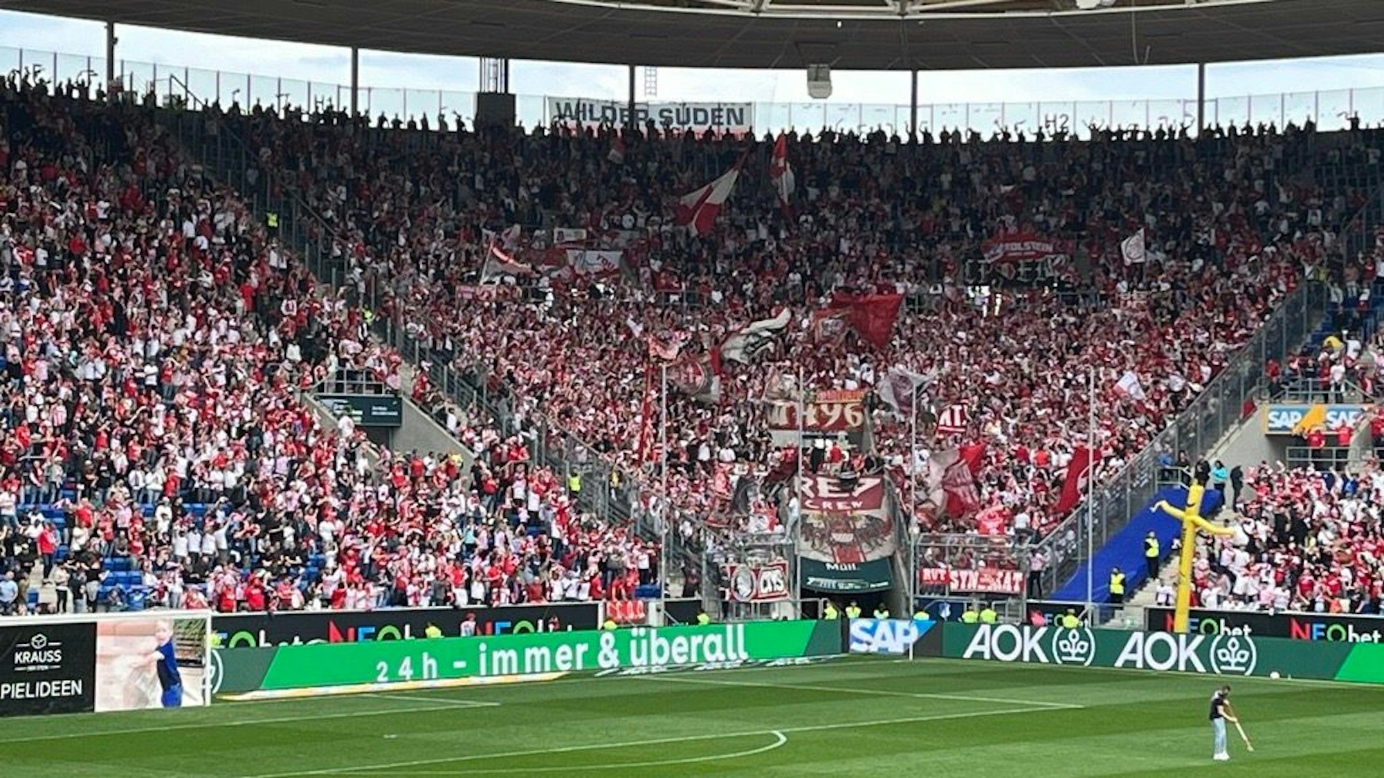 Kölner Fans im Sinsheimer Stadion, im Gästeblock und daneben ist nur rot-weiß zu sehen.