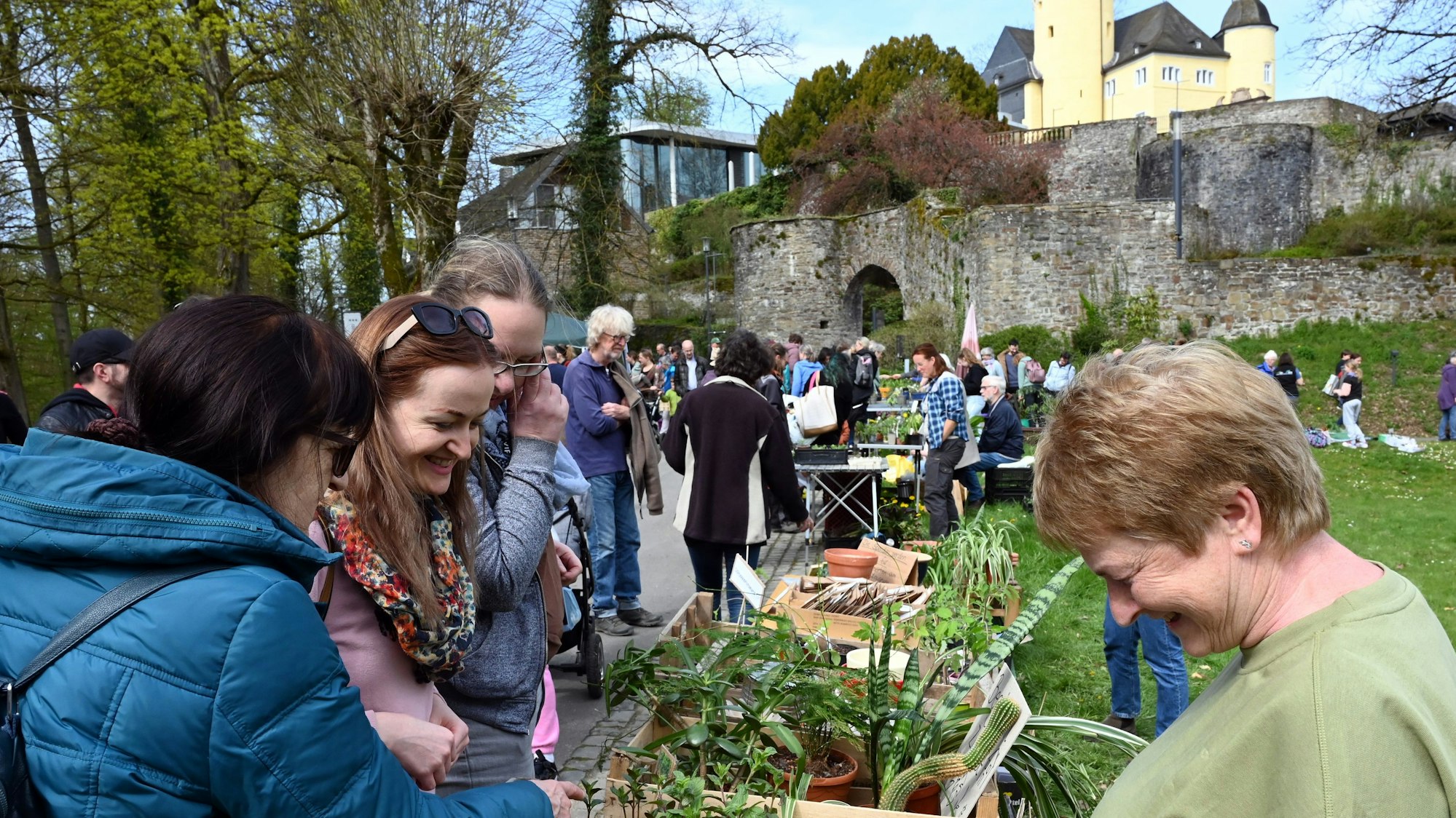 Menschen auf der Pflanzentauschbörse im Gespräch.