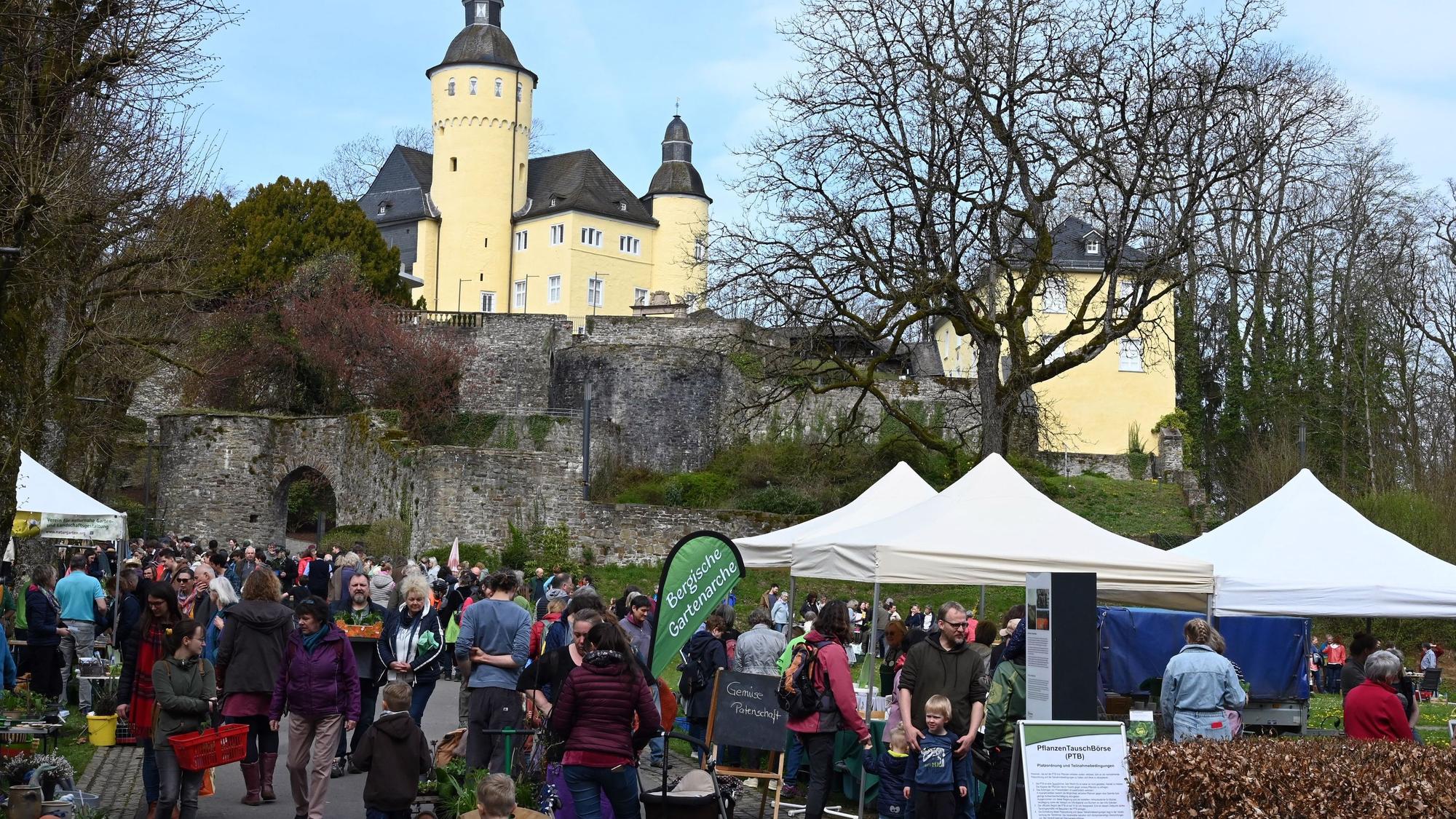 ds Pflanzentauschboerse Schloss Homburg