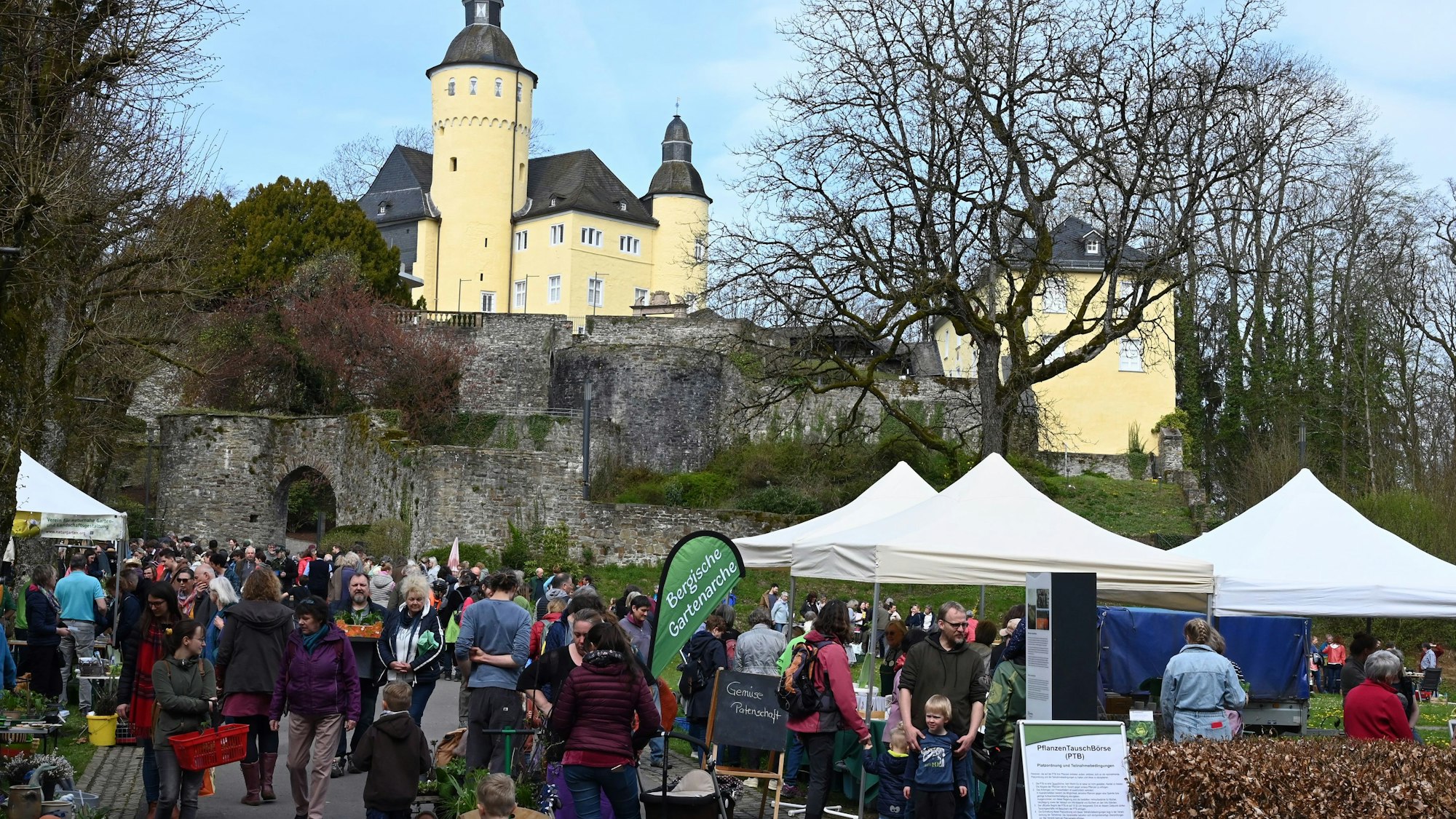 ds Pflanzentauschboerse Schloss Homburg