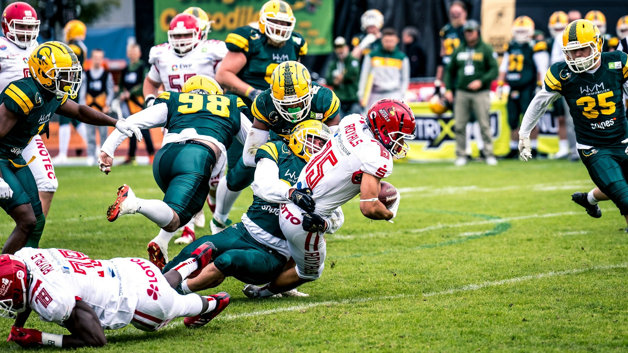 GFL Play Off Halbfinale: Potsdam Royals - Cologne Crocodiles 24.09.2022 Potsdam Royals - Cologne Crocodiles *** GFL Play Off Semifinals Potsdam Royals Cologne Crocodiles 24 09 2022 Potsdam Royals Cologne Crocodiles Copyright: xBEAUTIFULxSPORTS/NicolxMarschallx
