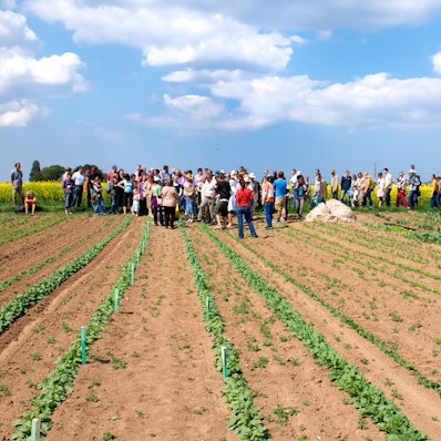 Ein Mietacker in Lövenich, auf dem eine Gruppe Menschen steht.