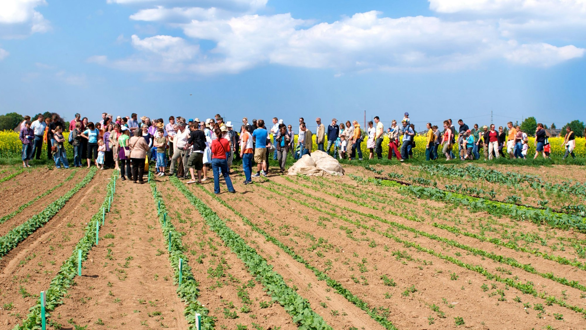 Ein Mietacker in Lövenich, auf dem eine Gruppe Menschen steht.