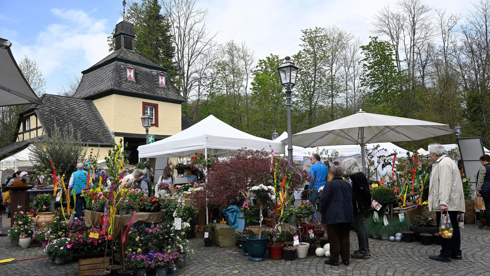 Pflanzen und Gartenartikel sind nur ein Teil des vielfältigen Angebots beim Frühlingsmarkt in Schloss Eulenbroich in Rösrath. Am Wochenende nach den Osterferien sind dort 120 Stände präsent.