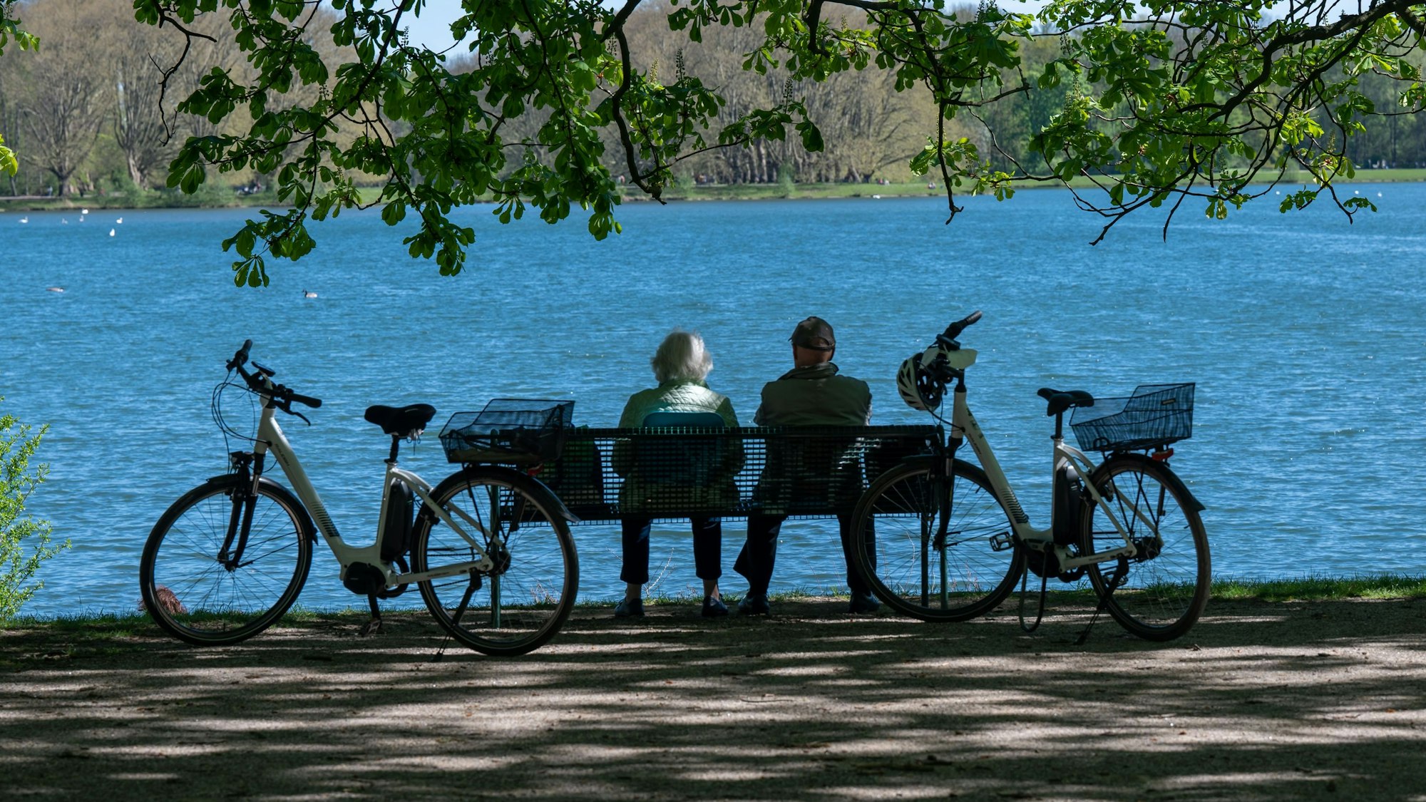Decksteiner Weiher im Frühjahr 2022