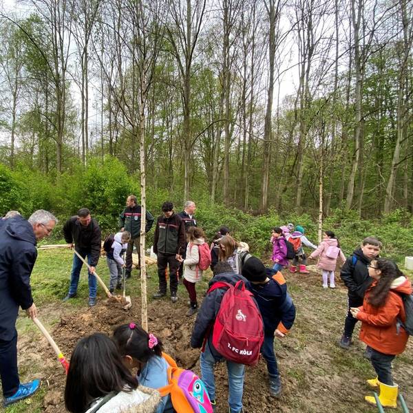 Grundschulkinder und Erwachsene beim Einpflanzen mehrerer Bäume
