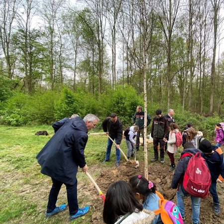 Grundschulkinder und Erwachsene beim Einpflanzen mehrerer Bäume