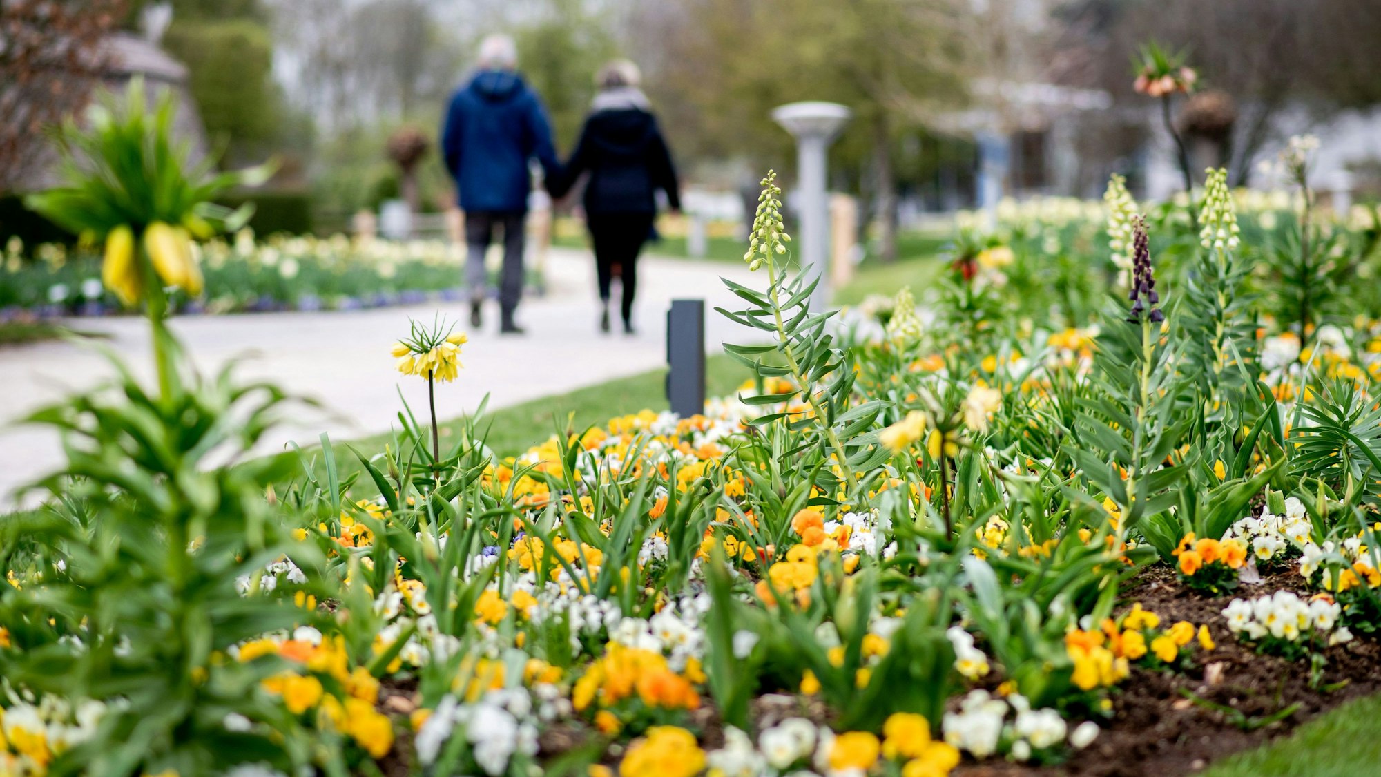Man sieht einen Park, in den Blumen blühen. Im Hintergrund laufen Menschen.