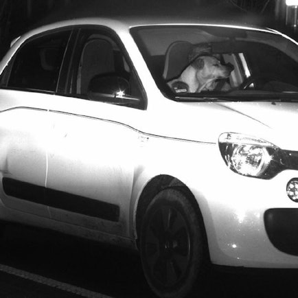 Blitzerfoto von einem Hund im Auto, der das Gesicht des Fahrers in Bonn verdeckt.
