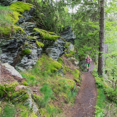 Wandern erfrischt Körper und Geist