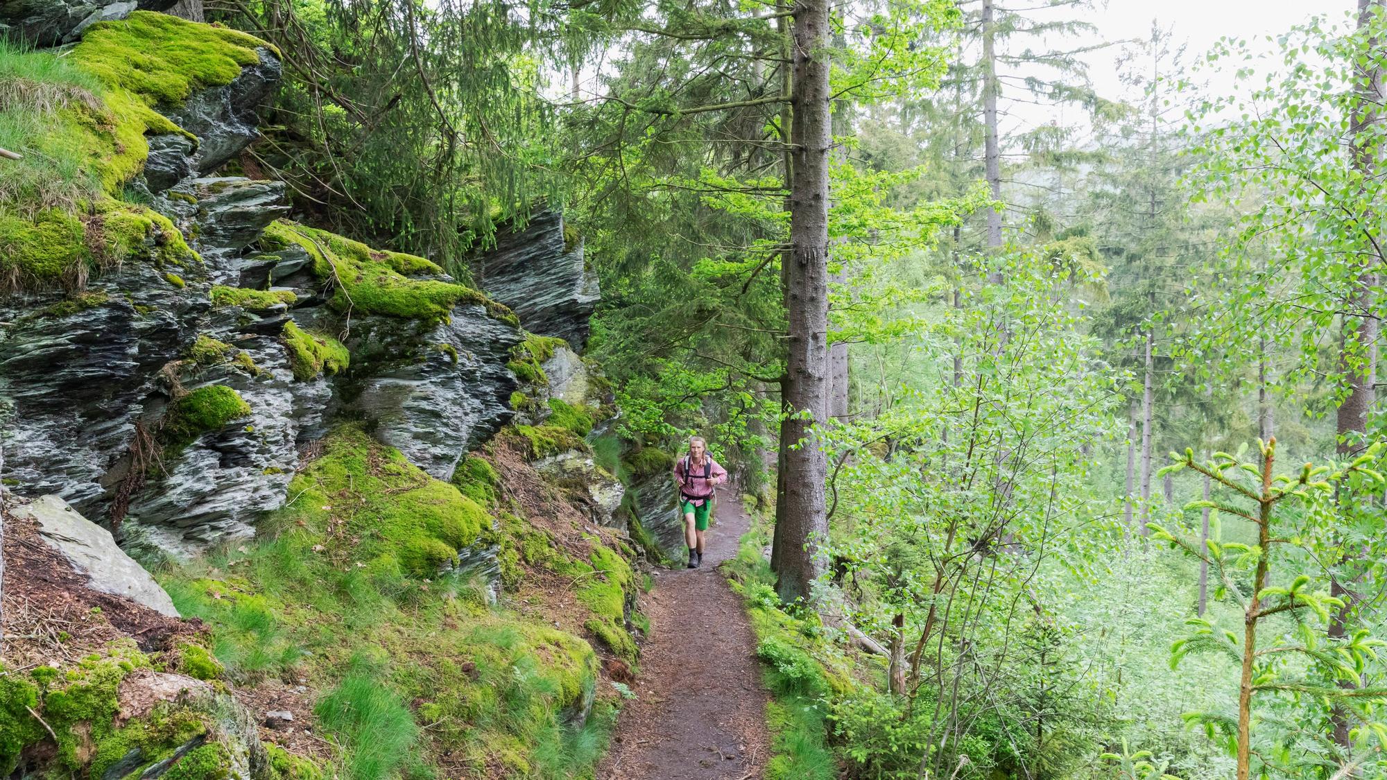 Wandern erfrischt Körper und Geist