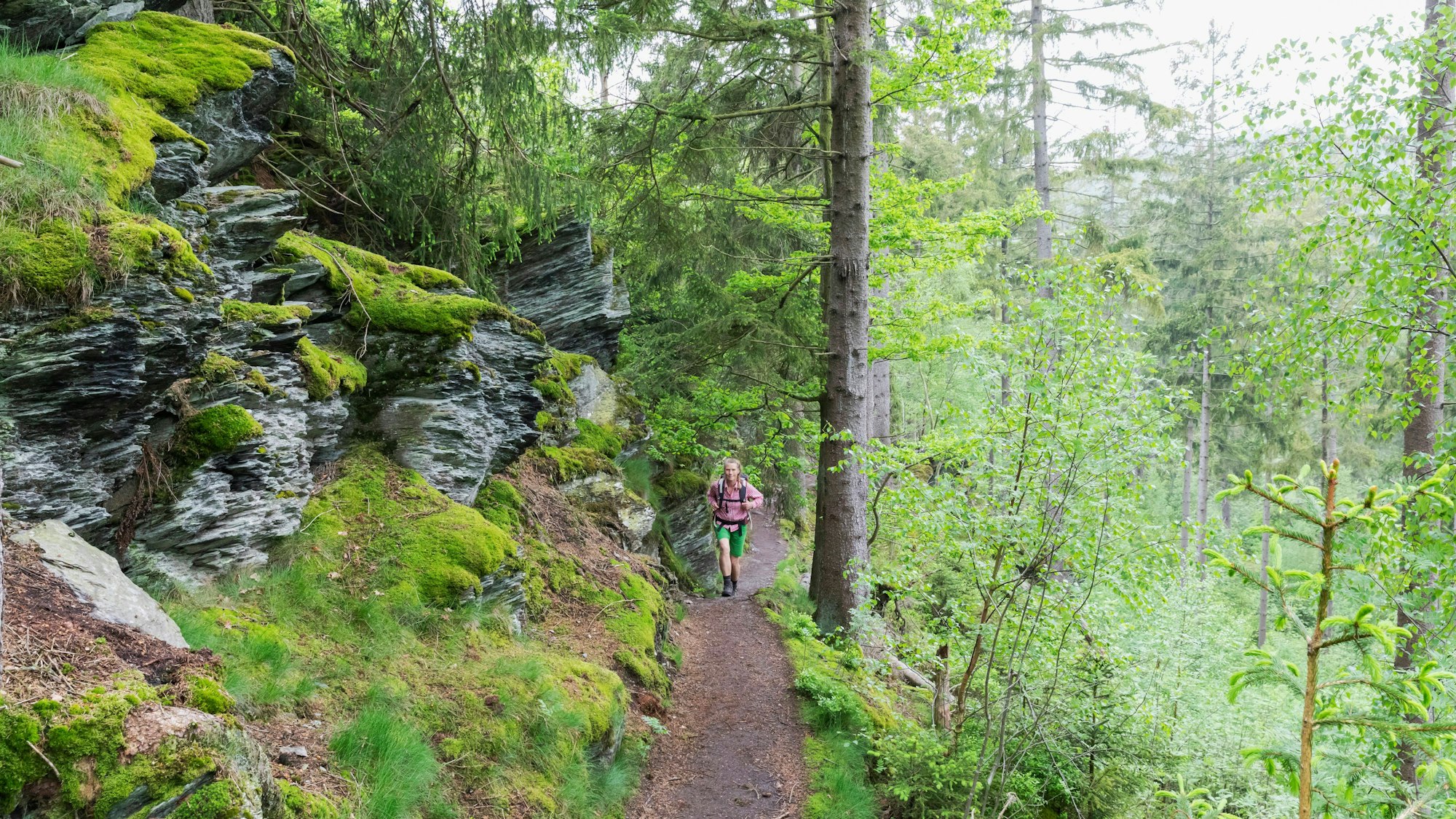 Wandern erfrischt Körper und Geist