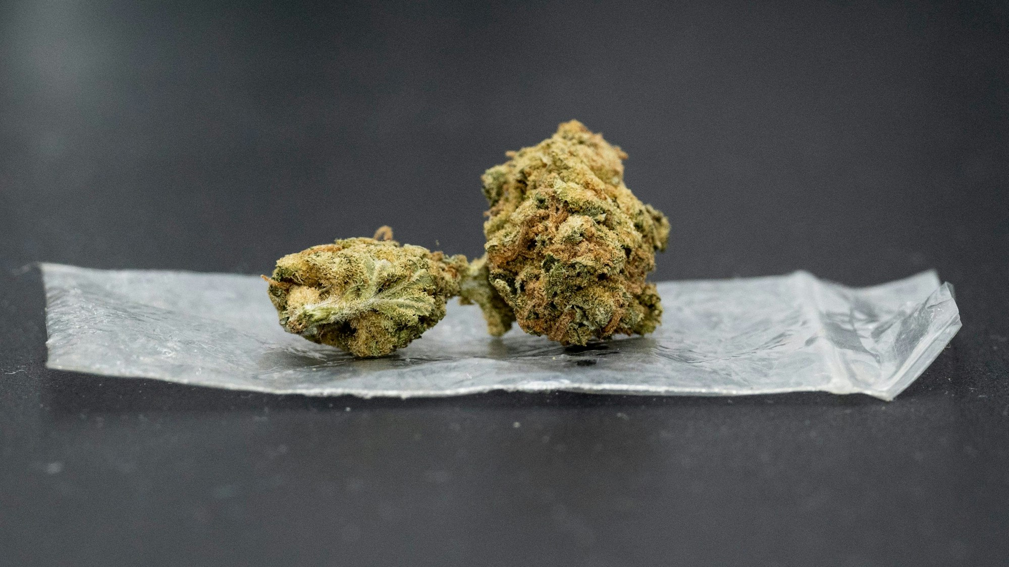 Eine Cannabisblüte liegt auf einem Plastikbeutel.